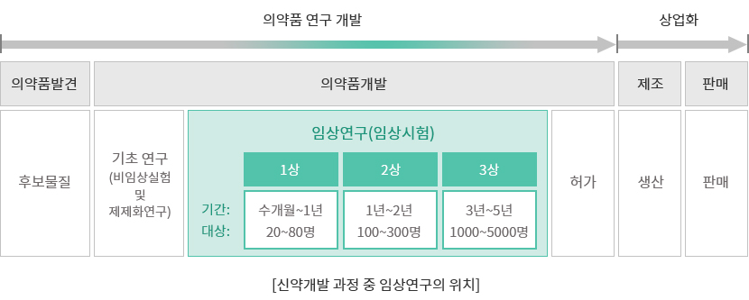 신약개발 과정 중 임상연구의 위치 이미지